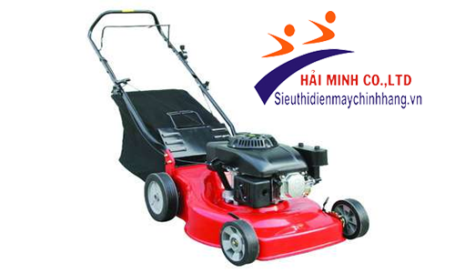 Máy cắt cỏ kiểu dáng hiện đại